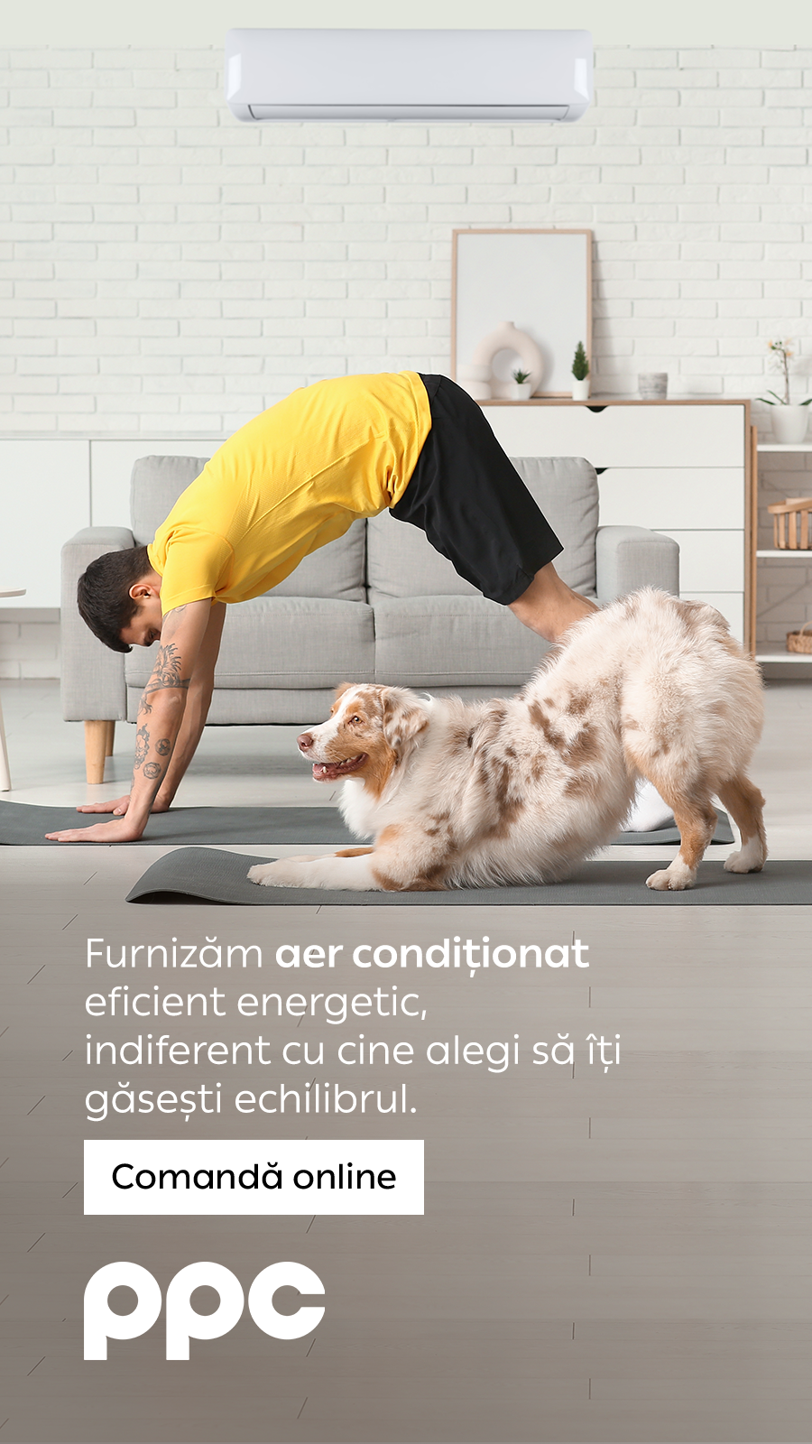 PPC Romania Facebook ad
