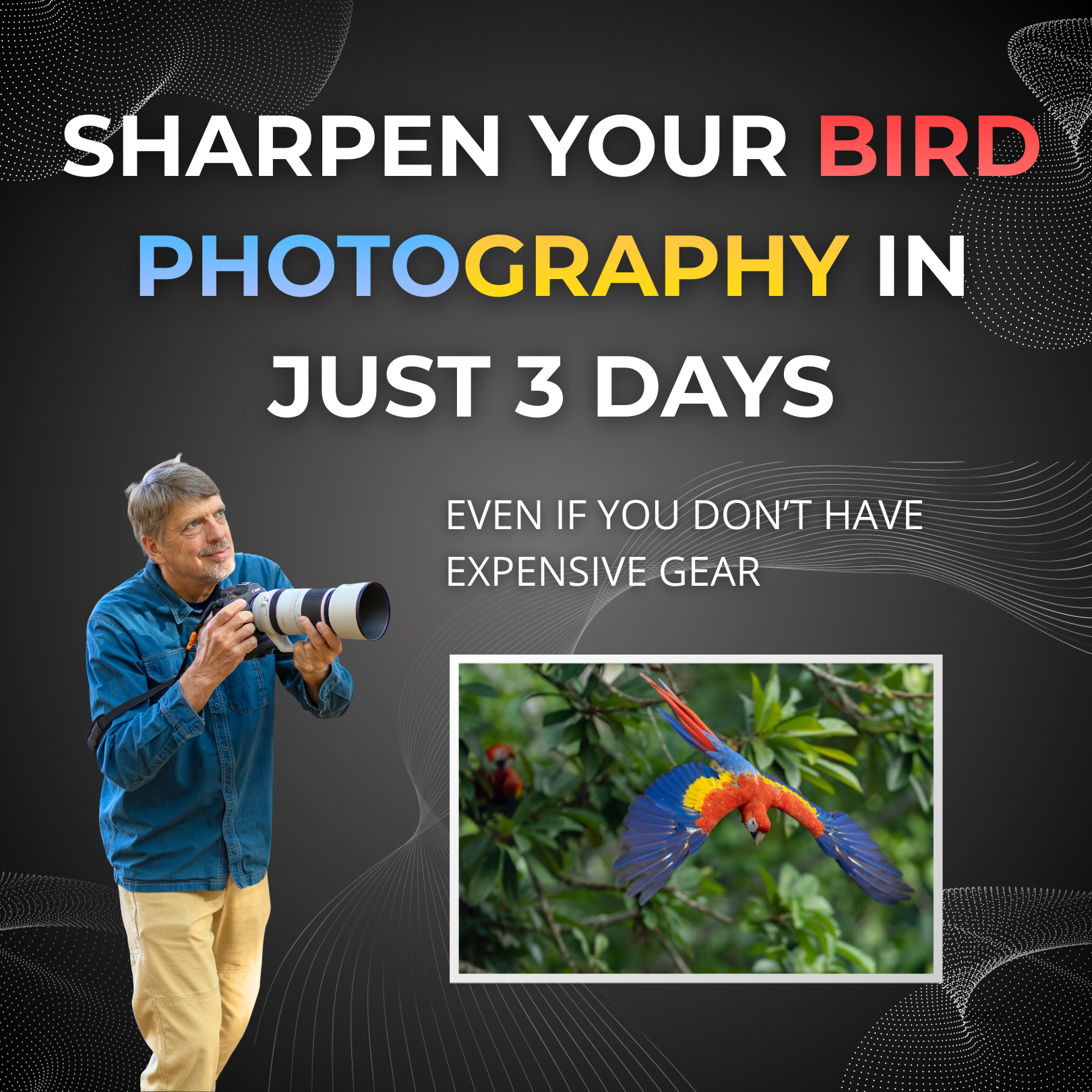 Tim Laman - Wildlife Photojournalist Facebook ad