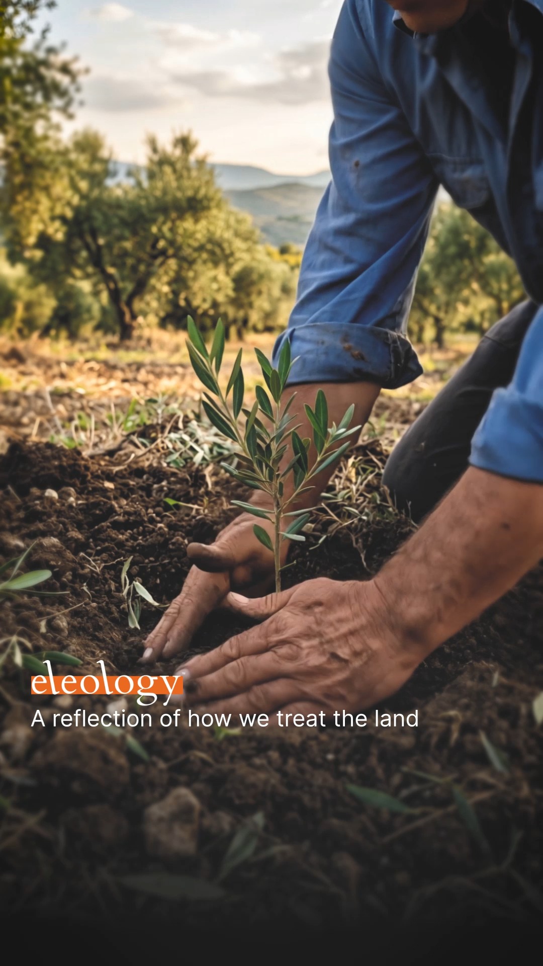 Eleology Facebook ad: Managing every single stage from the grove to…