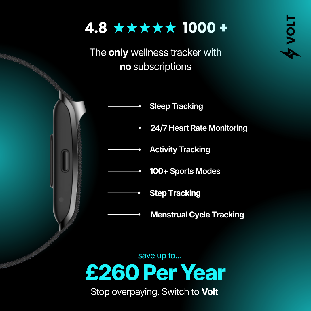 Volt UK Facebook ad