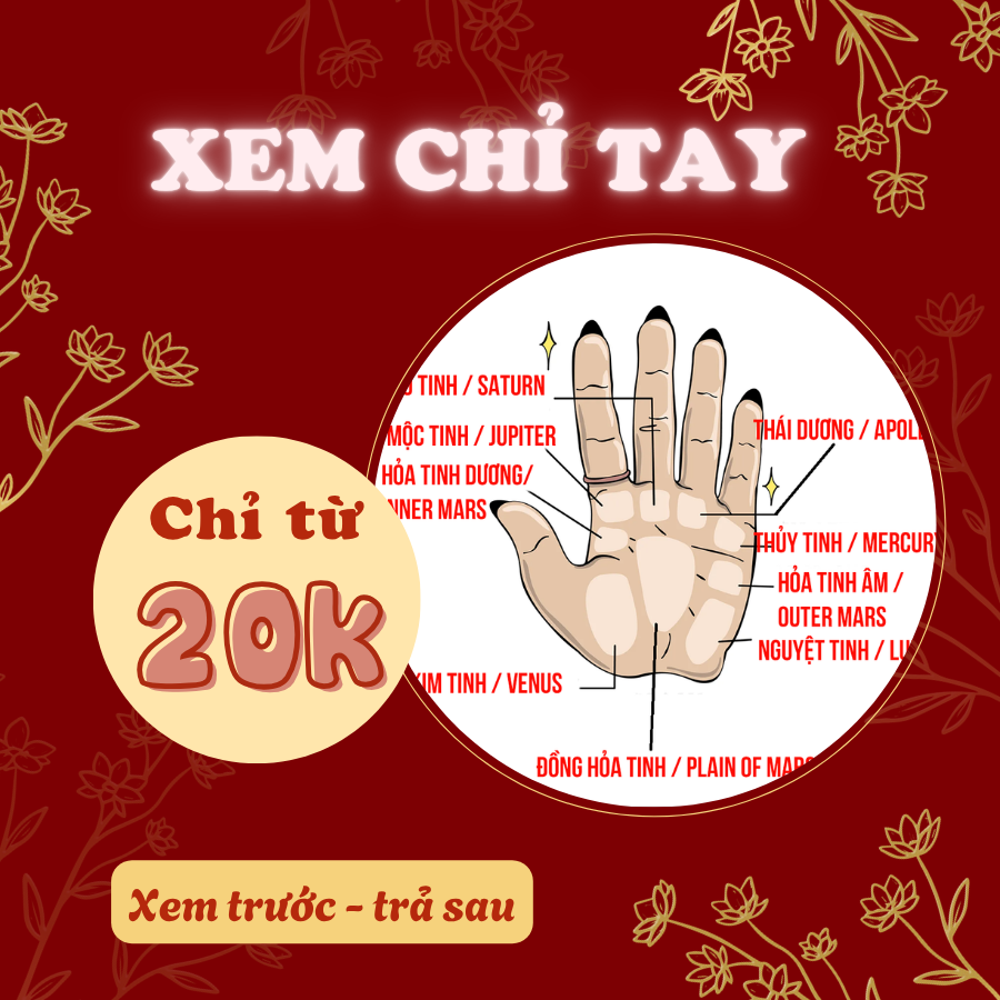 Chúi Tarot - Tử Vi, Chỉ Tay, Duyên Số Facebook ad