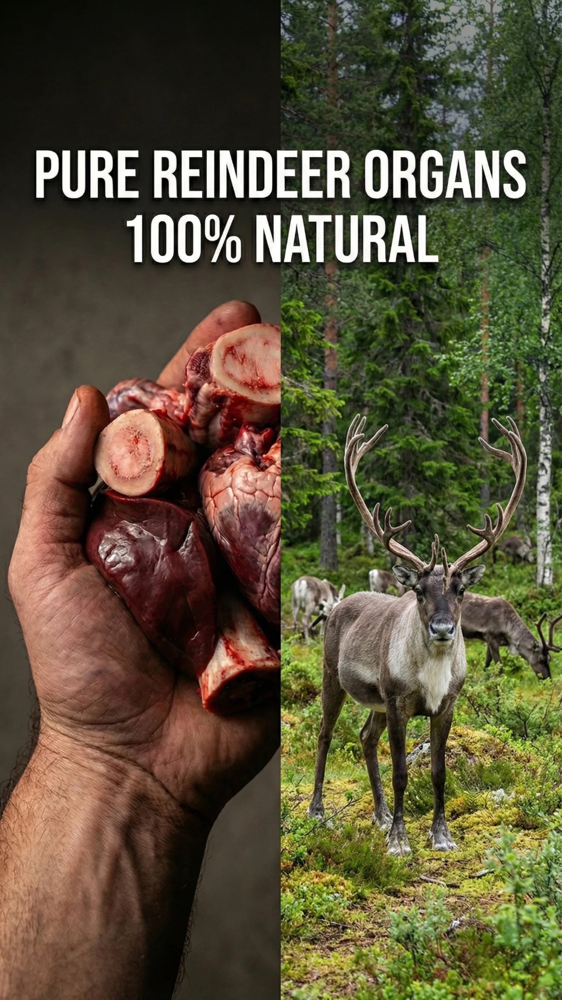 Primal Viking Facebook ad