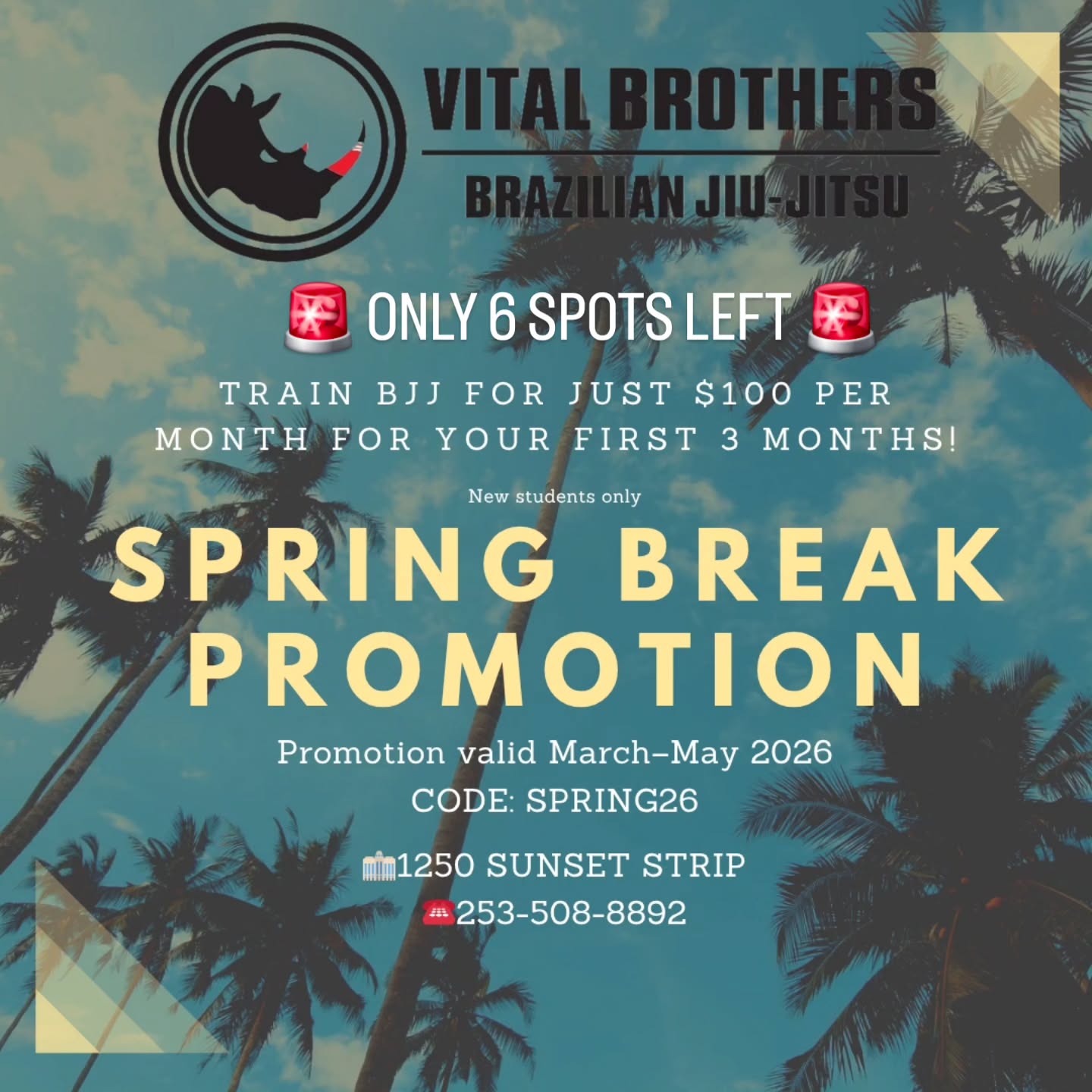 VITAL Brothers BJJ MH Facebook ad: ONLY 6 SPOTS LEFT, PROMOTION ENDS SOON