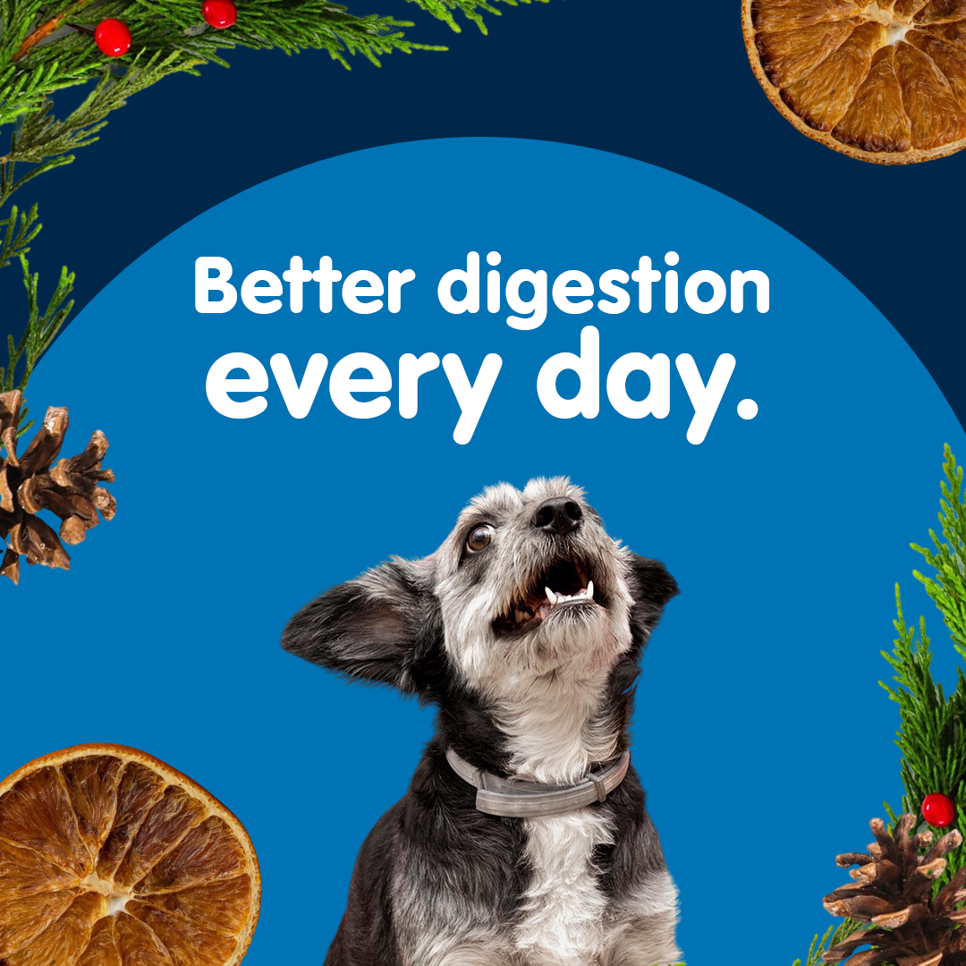 Aviform Nutrition UK - Horse & Dog Facebook ad