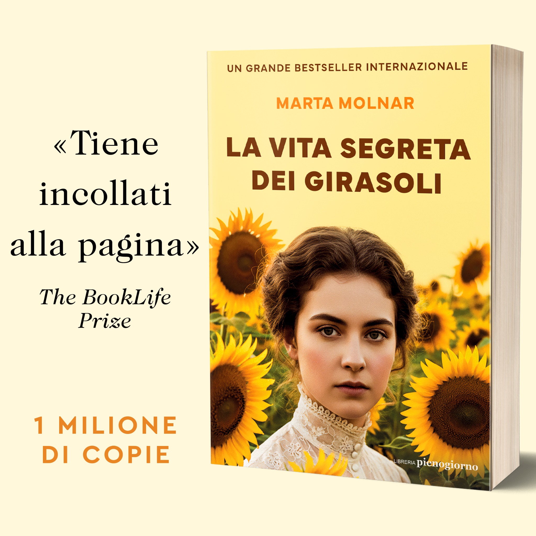 La vita segreta dei girasoli Facebook ad