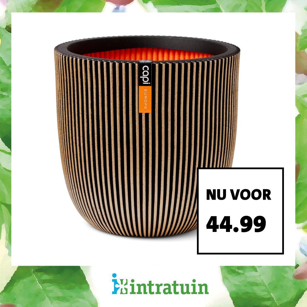 Intratuin Facebook ad