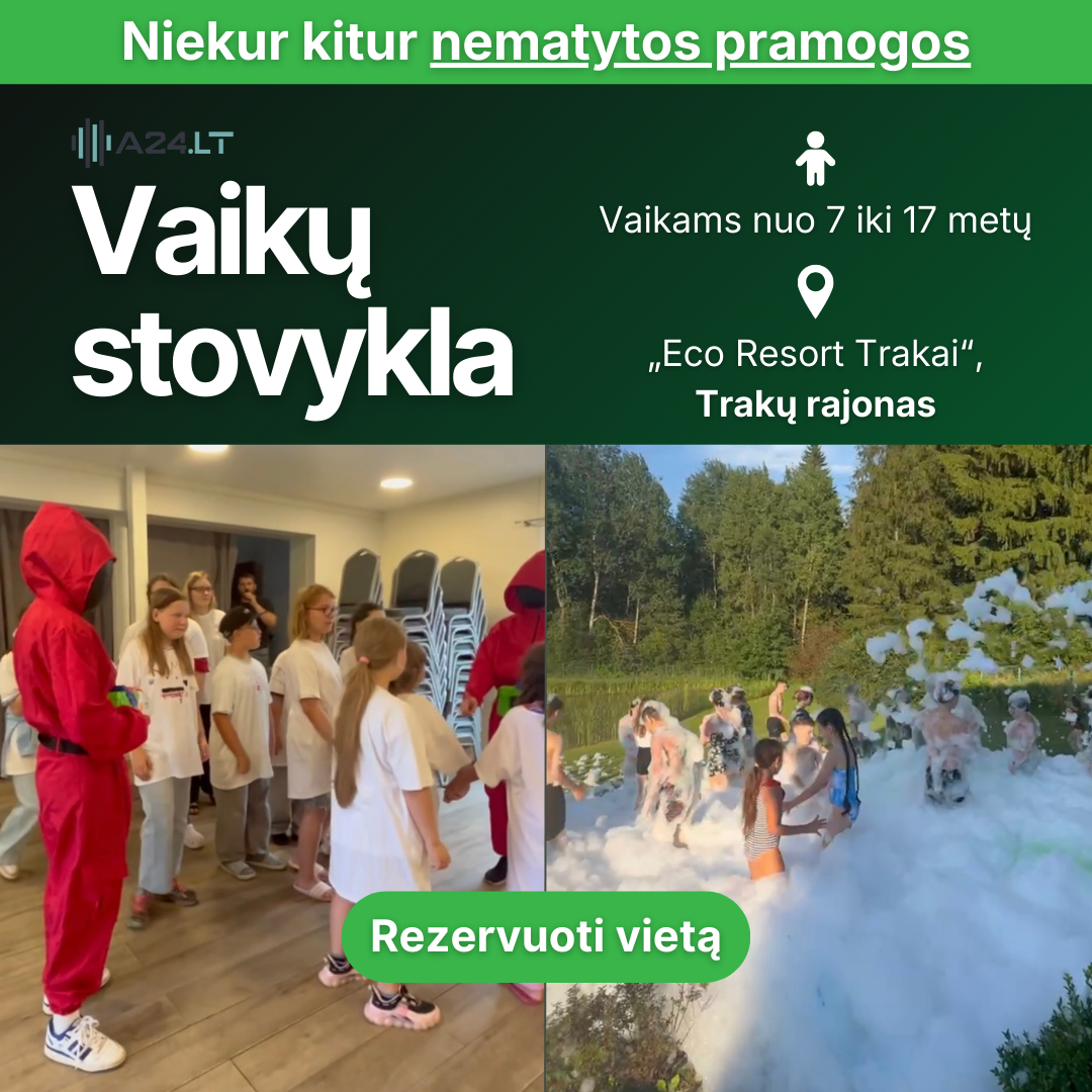 A24.LT - Gitaros pamokų studija Facebook ad