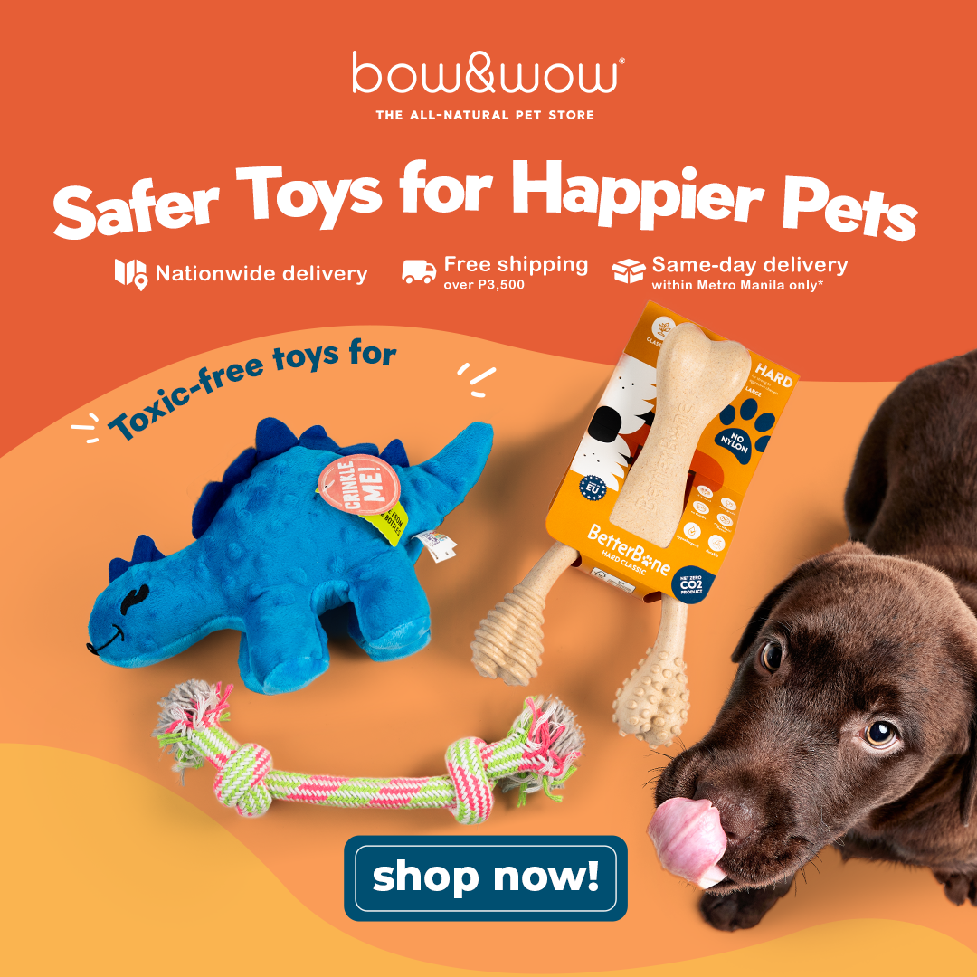 Bow & Wow – The All-Natural Pet Store Facebook ad
