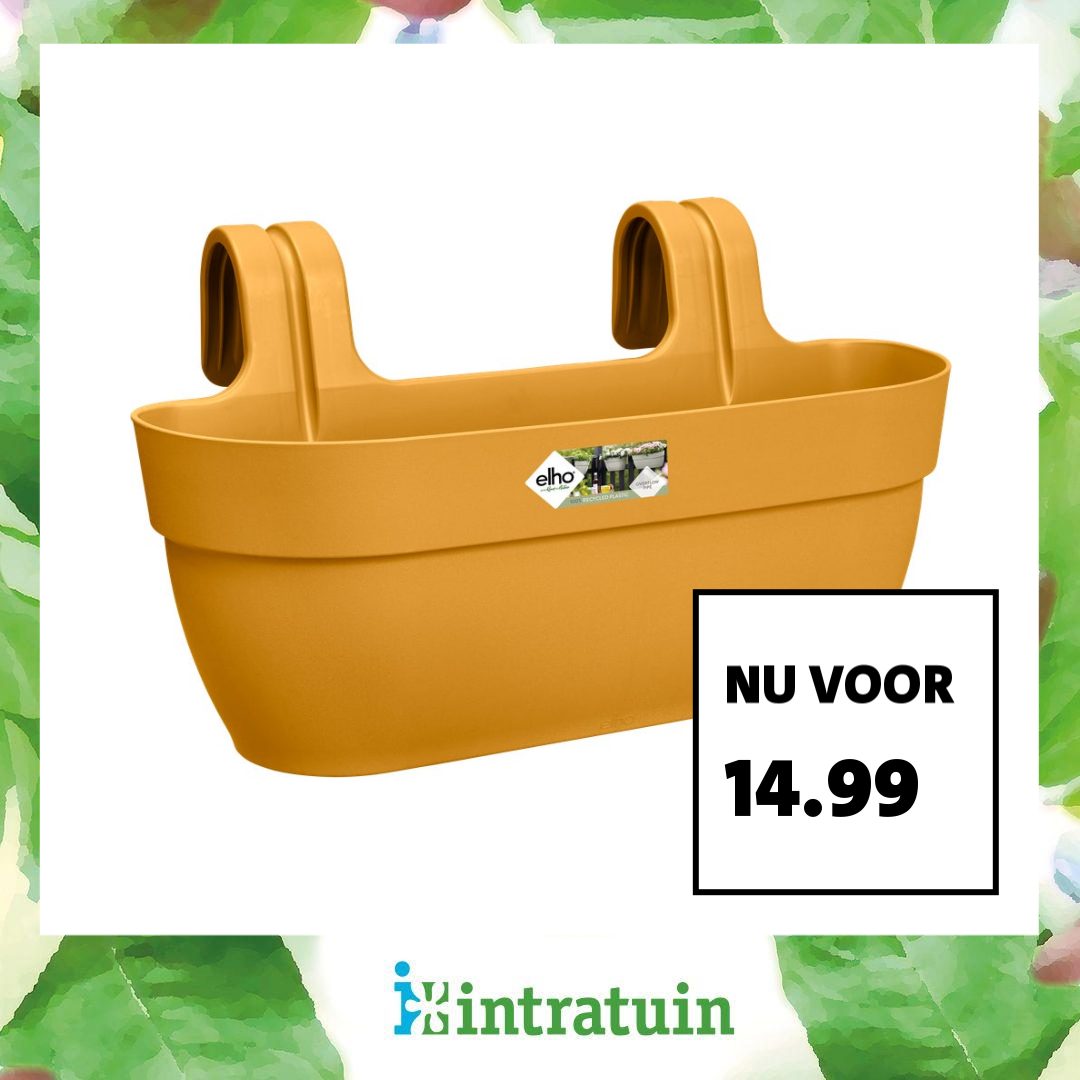 Intratuin Facebook ad