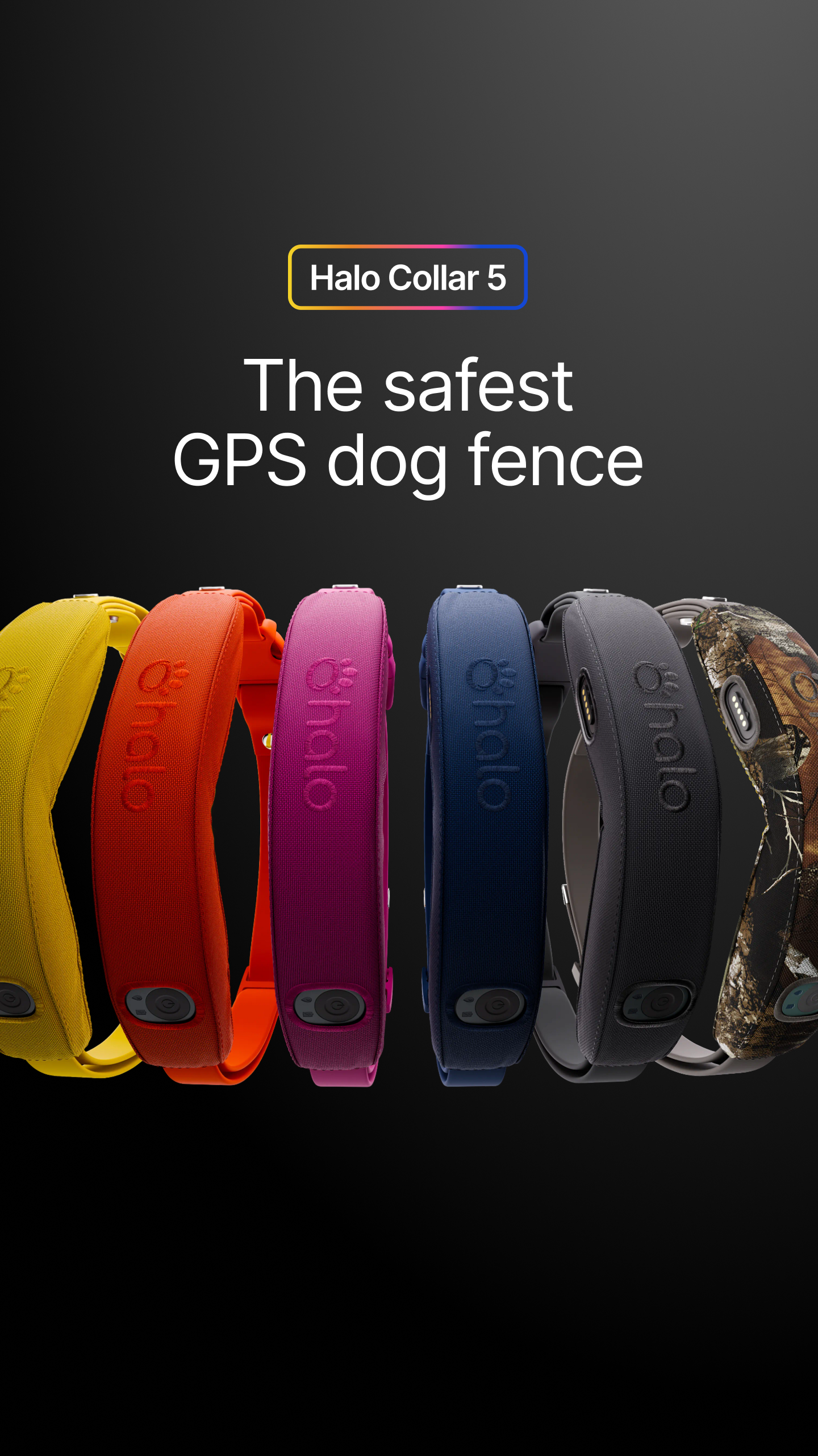 Halo Collar Facebook ad