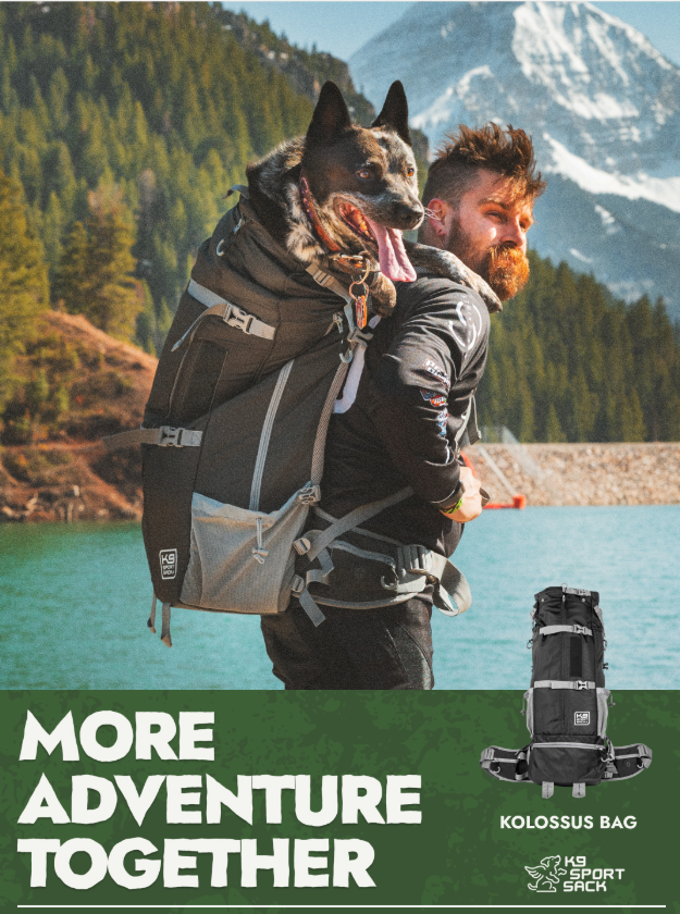 K9 Sport Sack Facebook ad from Jun 25, 2026