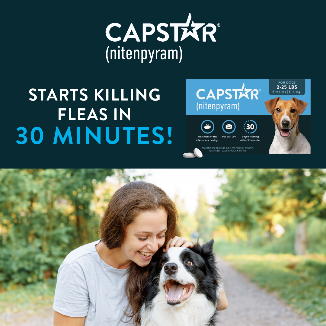 Capstar (nitenpyram) Facebook ad