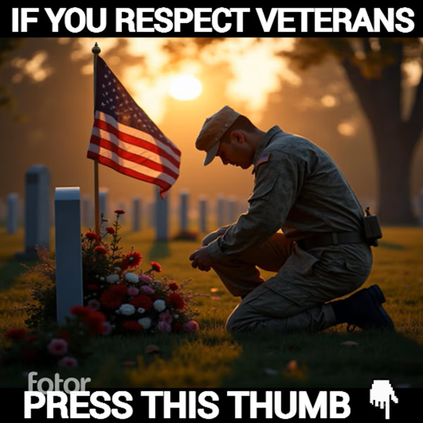Proud Veterans Facebook ad