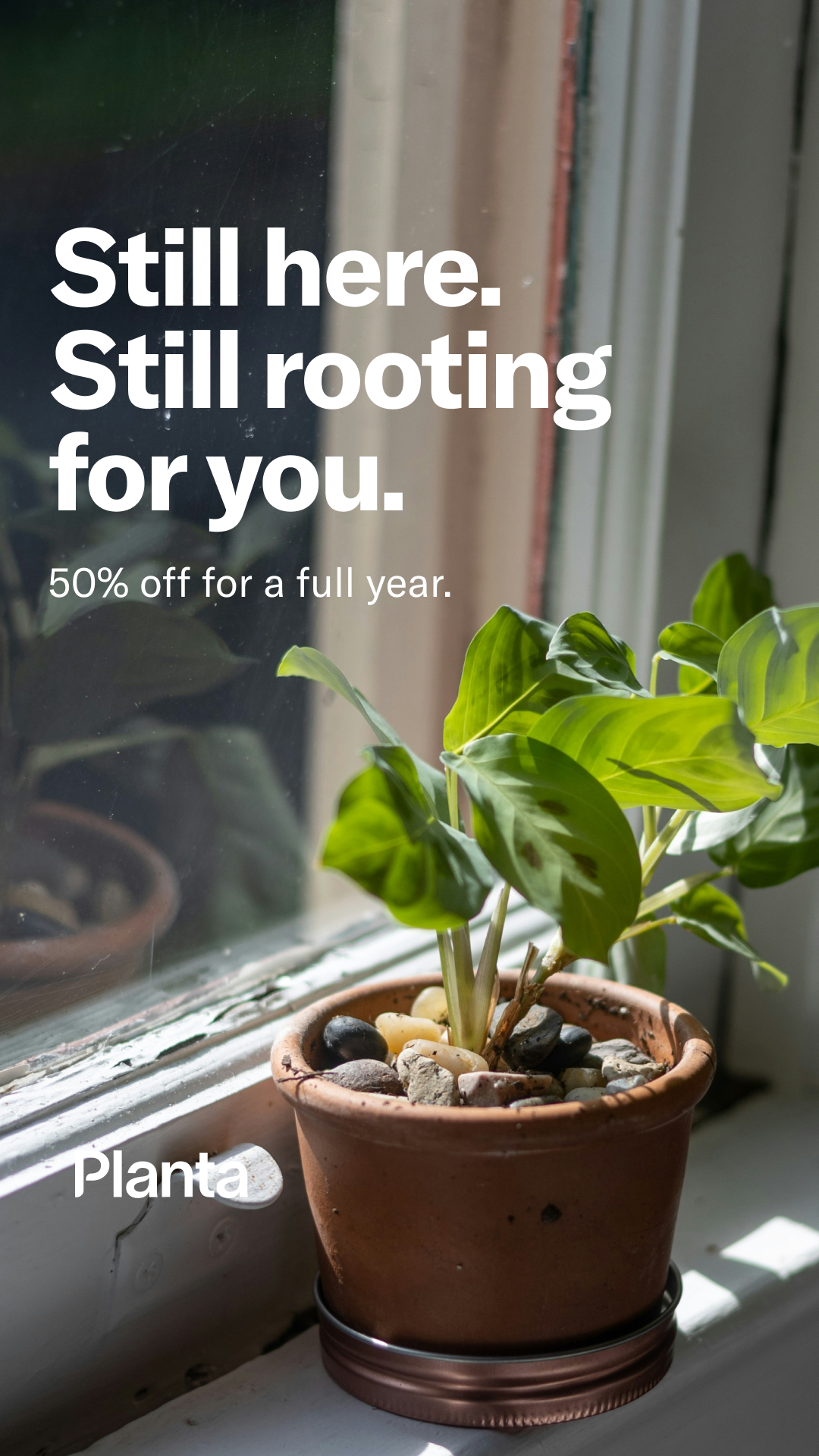 Planta Facebook ad