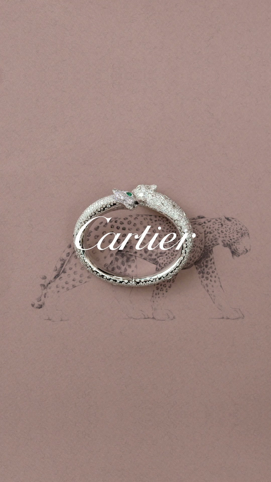 Cartier Facebook ad: Between galuchat-effect and caviar paved settings, the…