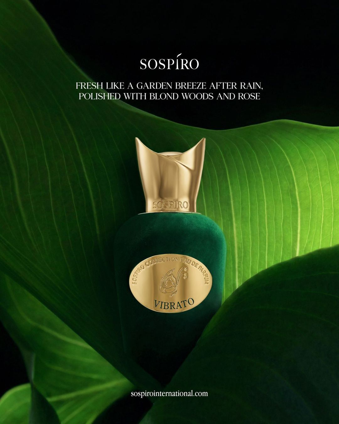 Sospiro International Facebook ad: Green goes quiet.