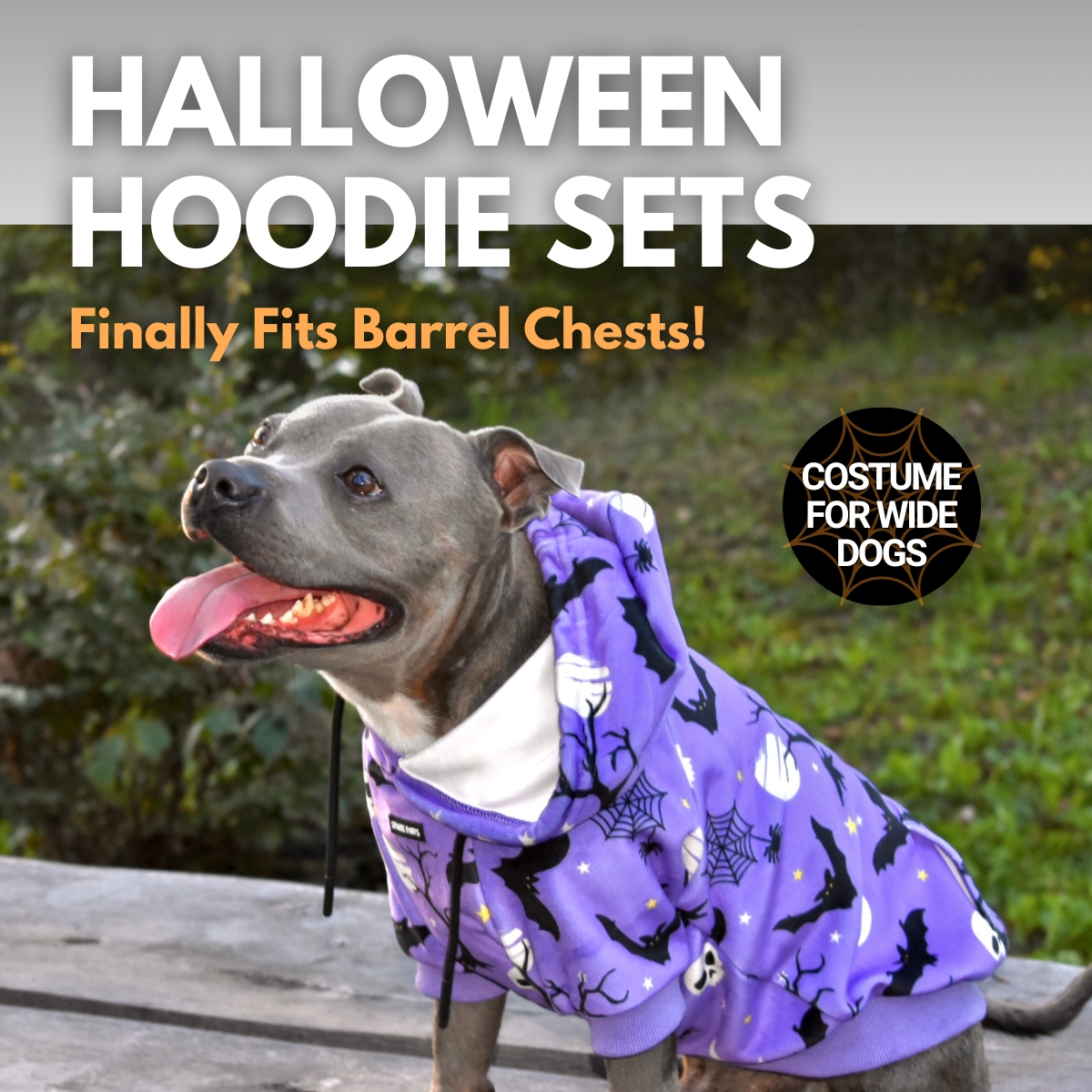 Spark Paws Facebook ad