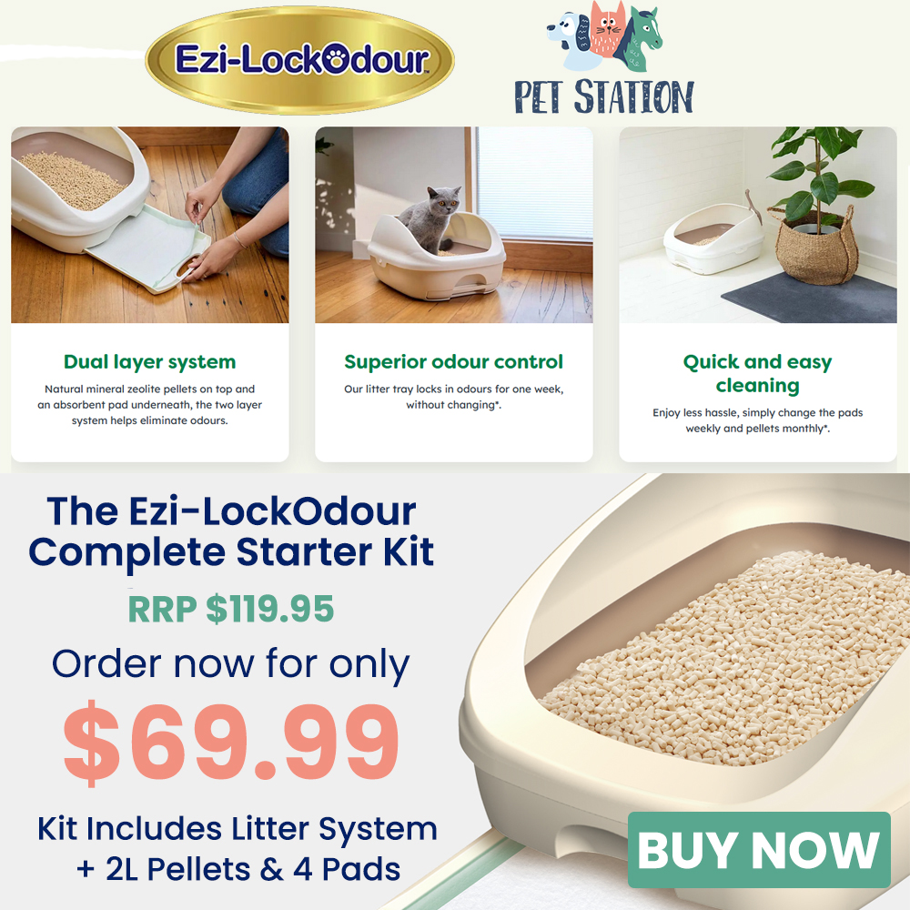 Pet Station Facebook ad