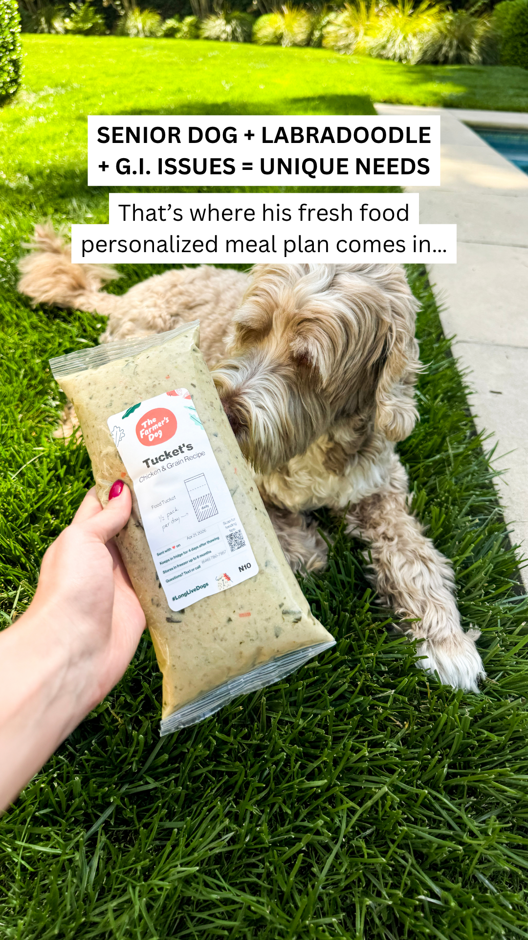 Rounds Of A Paws Facebook ad