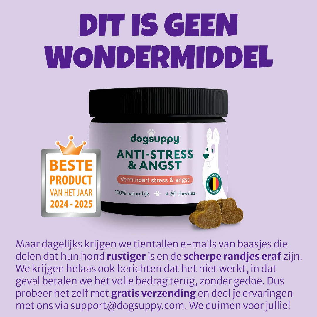 DogSuppy Facebook ad