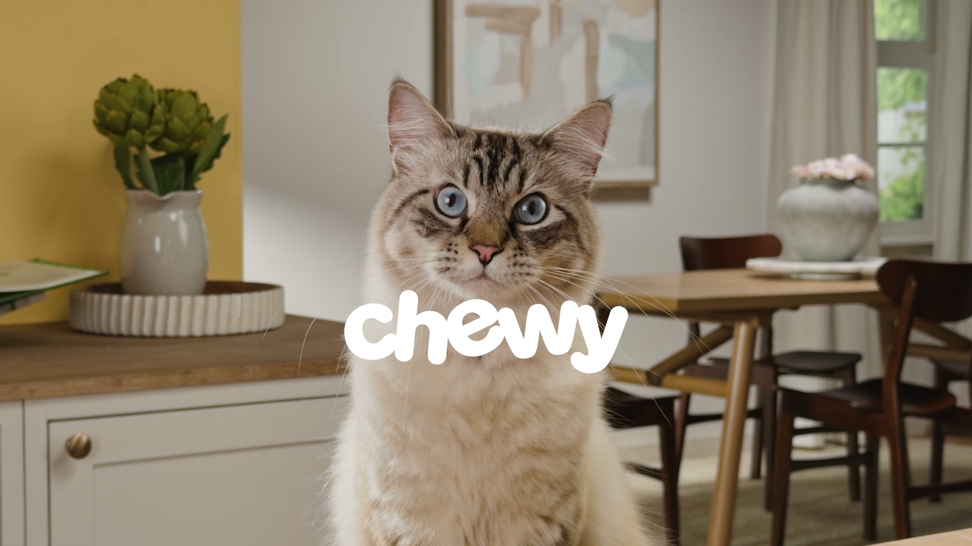 Chewy Facebook ad from Aug 10, 2026