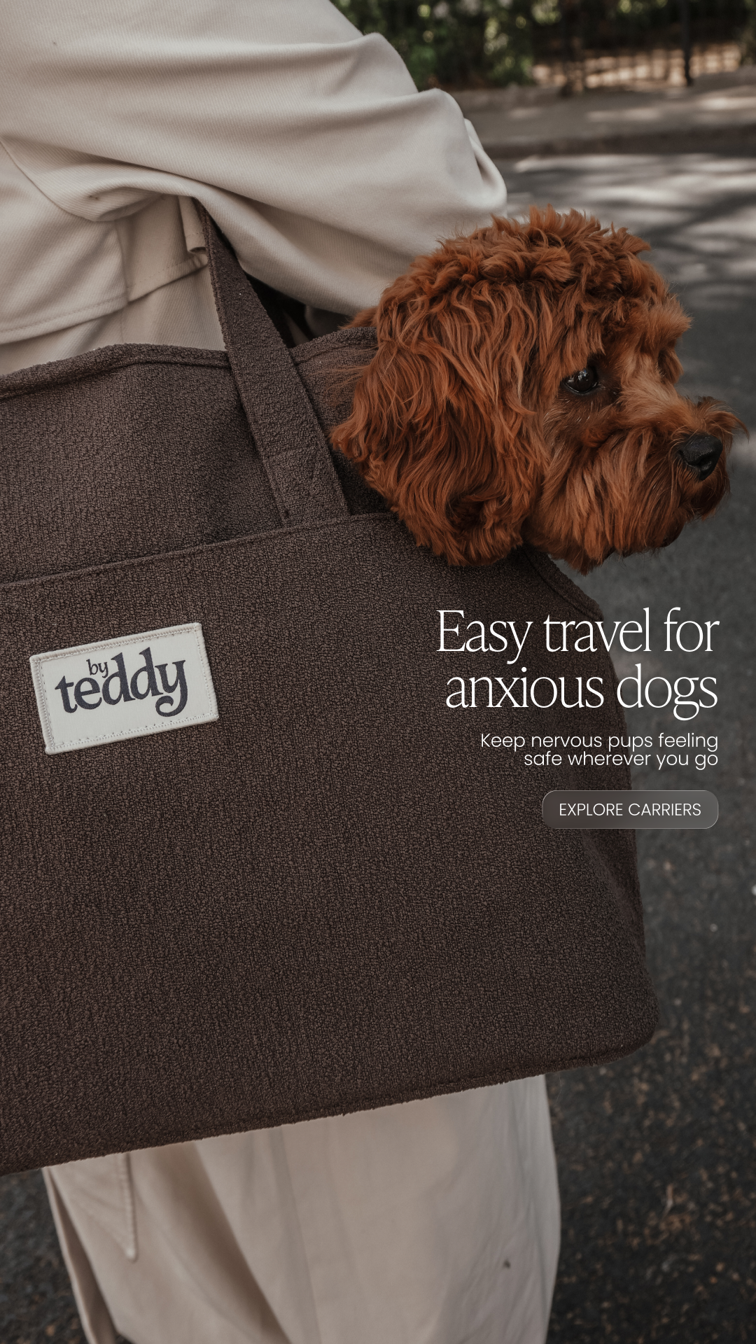 By Teddy Facebook ad