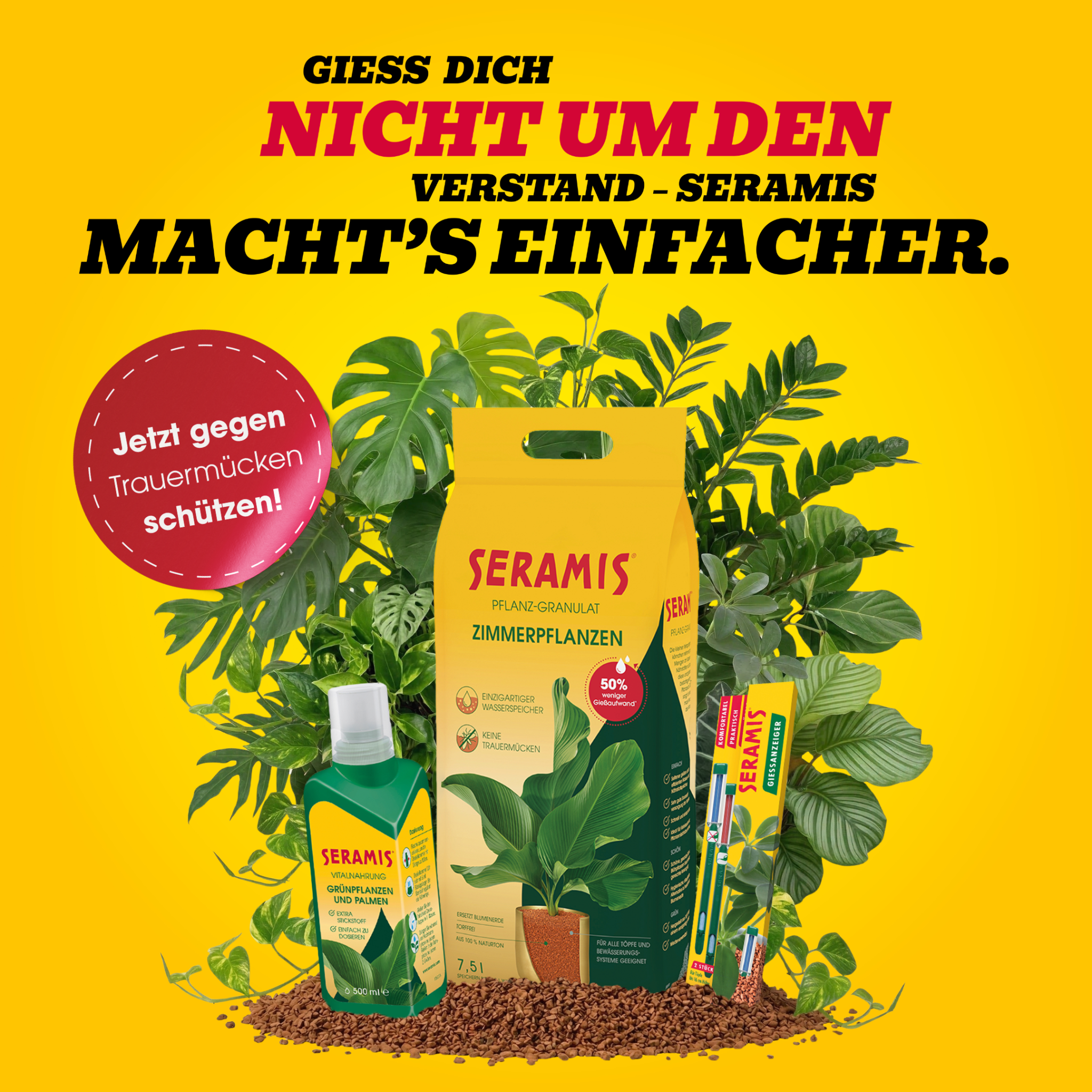 SERAMIS Facebook ad: Zimmerpflanzen lieben SERAMIS: Granulat, Vitalnahrung und…