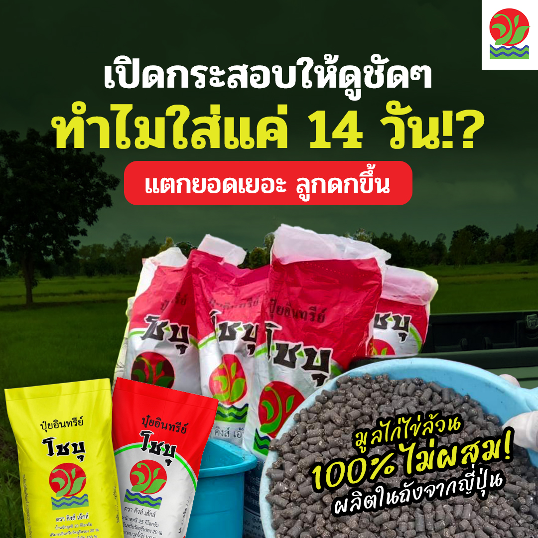 โชบุ ปุ๋ยที่ดีที่สุด เพจบริษัท Facebook ad