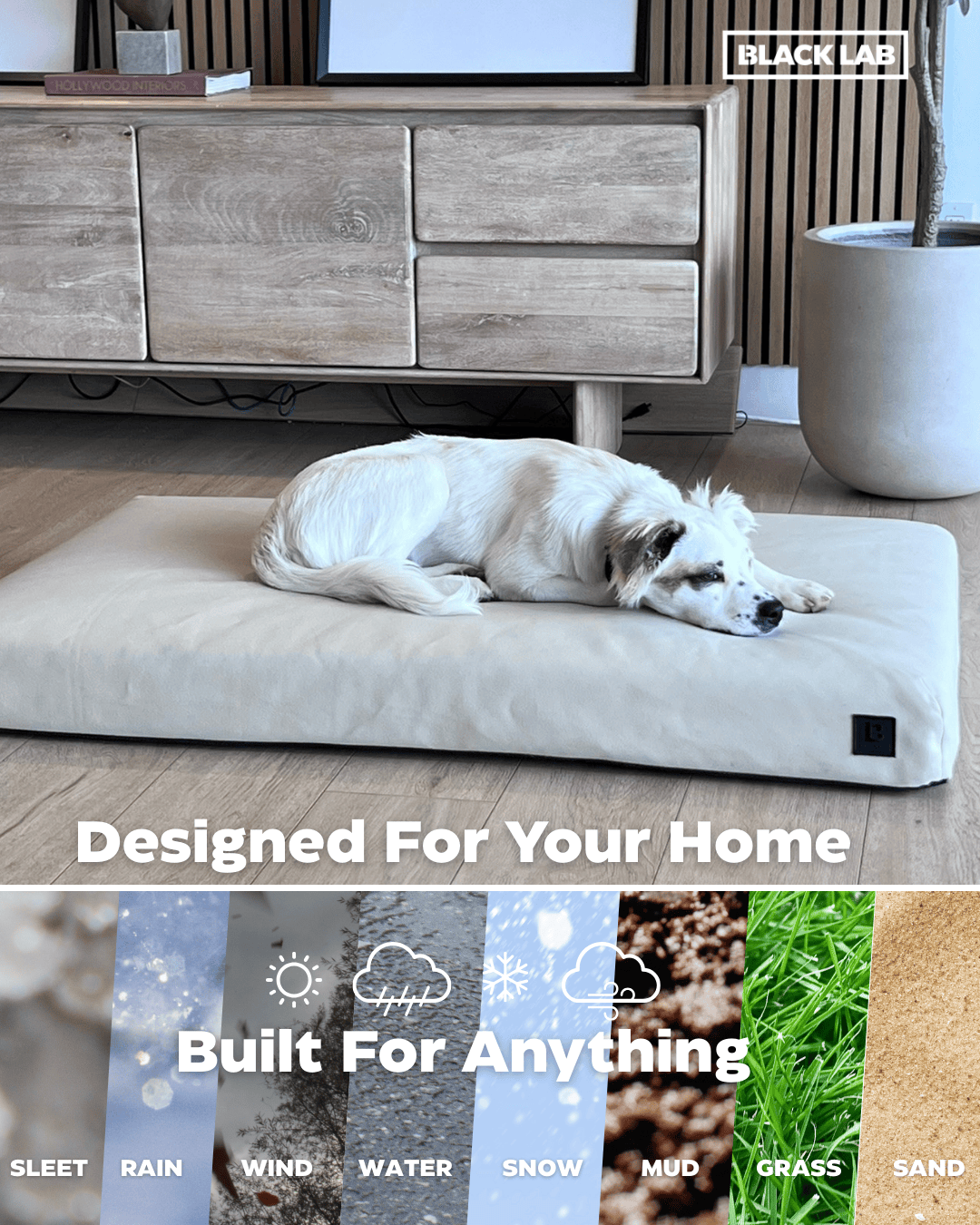 Black Lab Brands Facebook ad