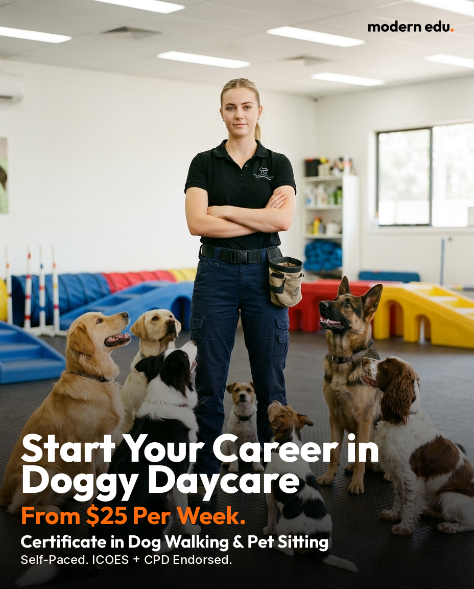 Modern Edu Australia Facebook ad