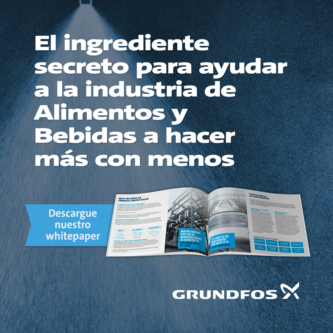 Grundfos Engineering Facebook ad