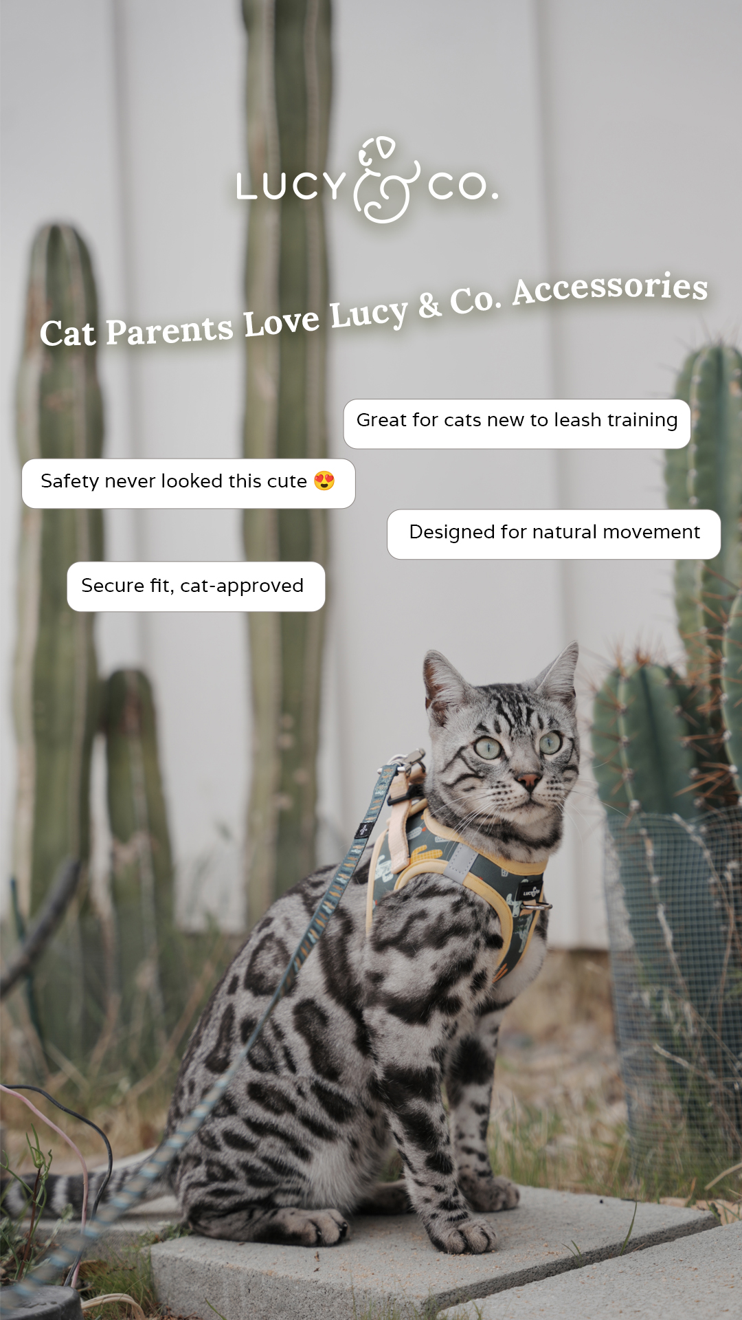 Lucy & Co. Facebook ad