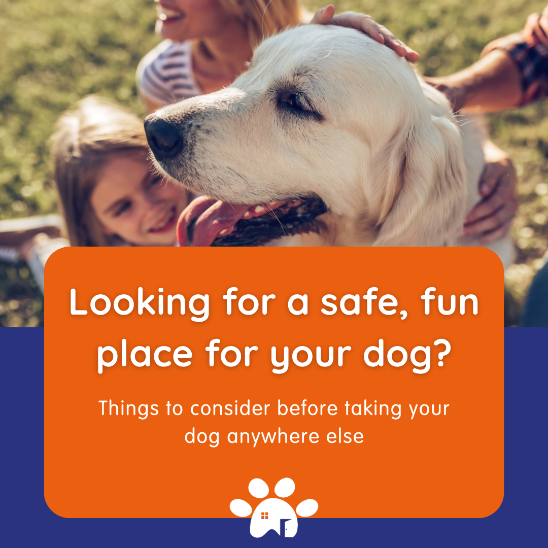 Rags & Bert's Facebook ad: Why local dog owners choose Rags & Bert’s