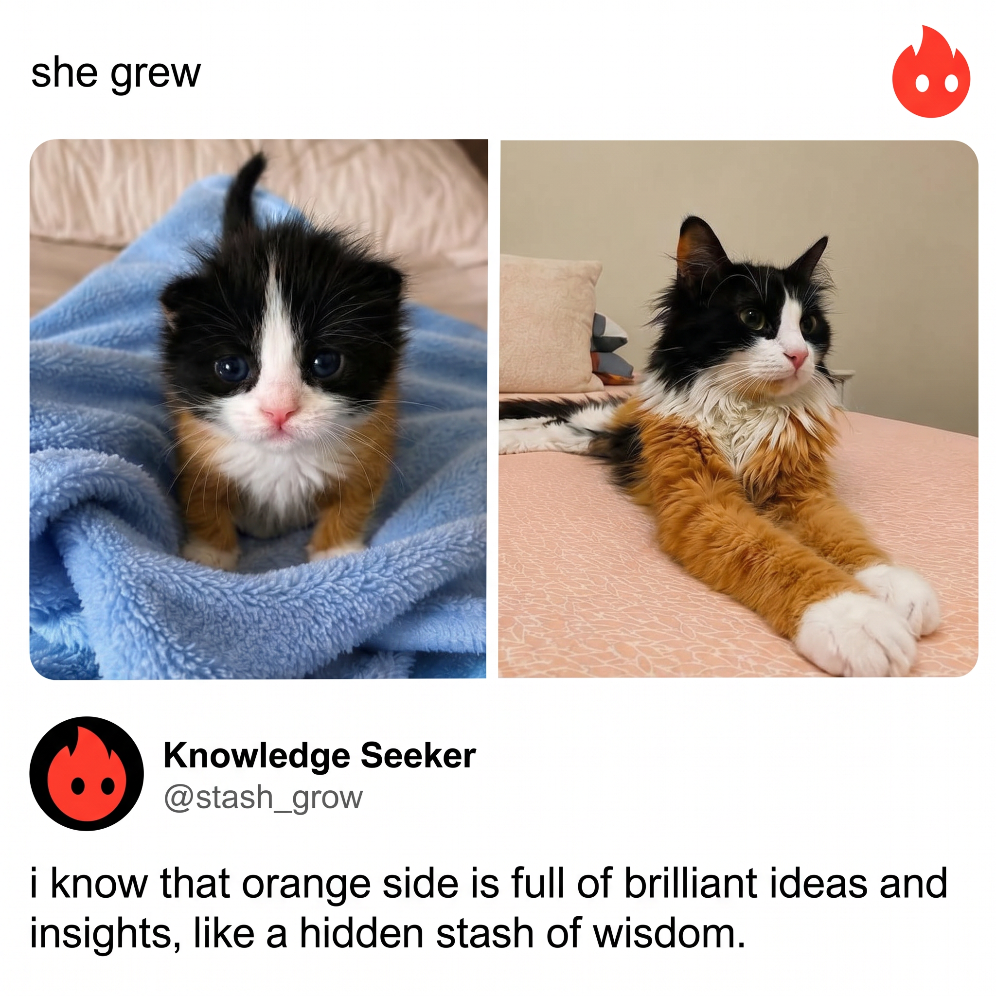 Deepstash Facebook ad