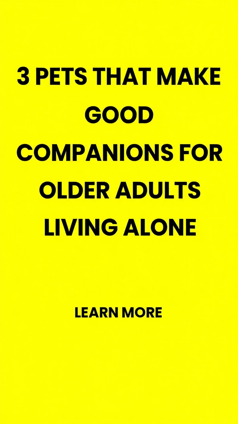 ModernReader Facebook ad: Pet Companions for Older Adults: 2026 Guide