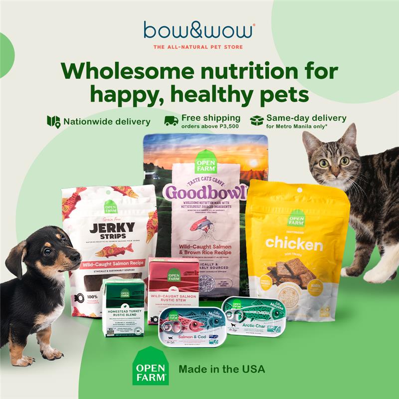 Bow & Wow – The All-Natural Pet Store Facebook ad