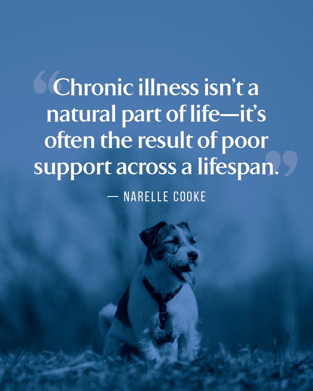 CanineCeuticals Facebook ad