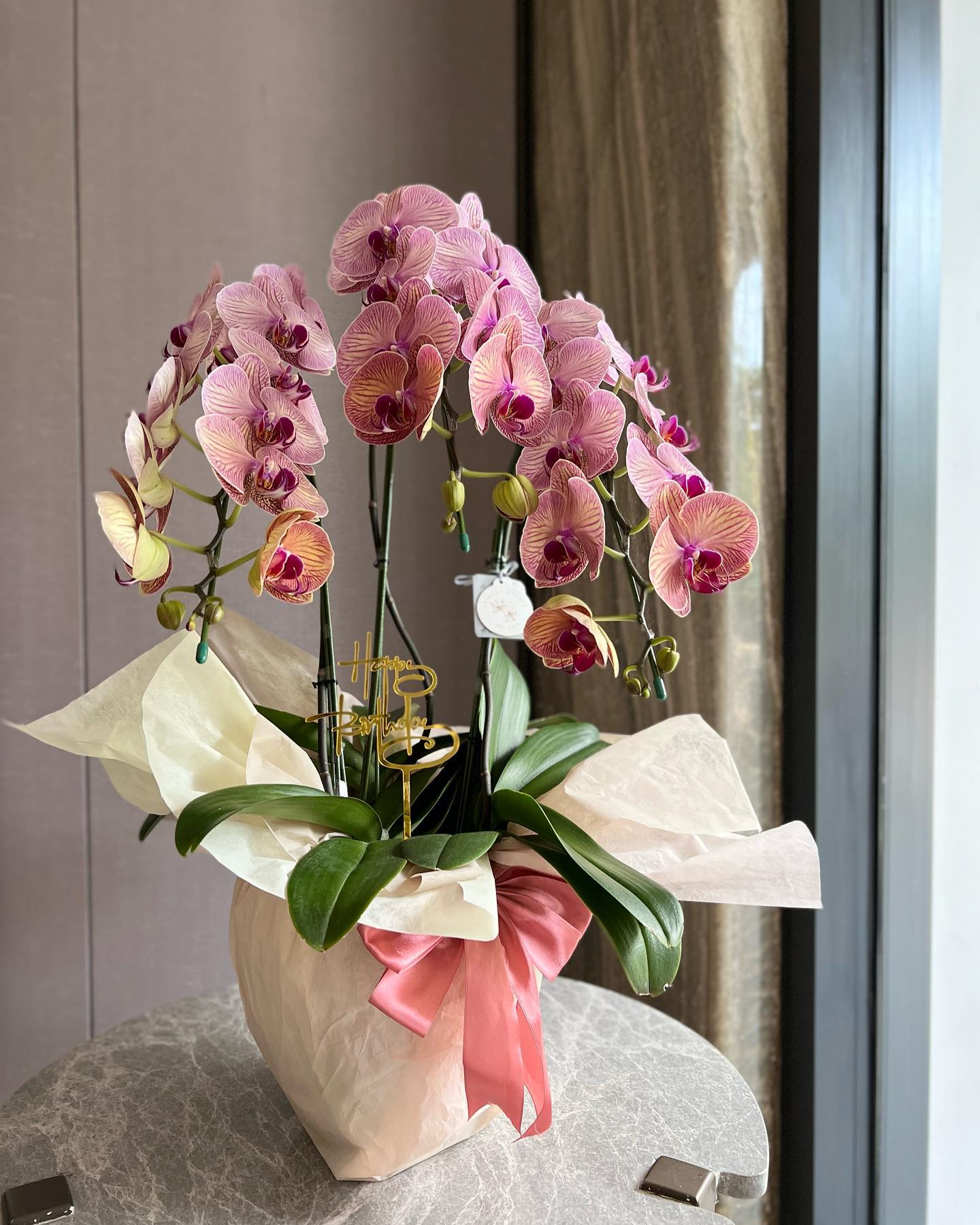 Premium Orchid - Priméra Facebook ad