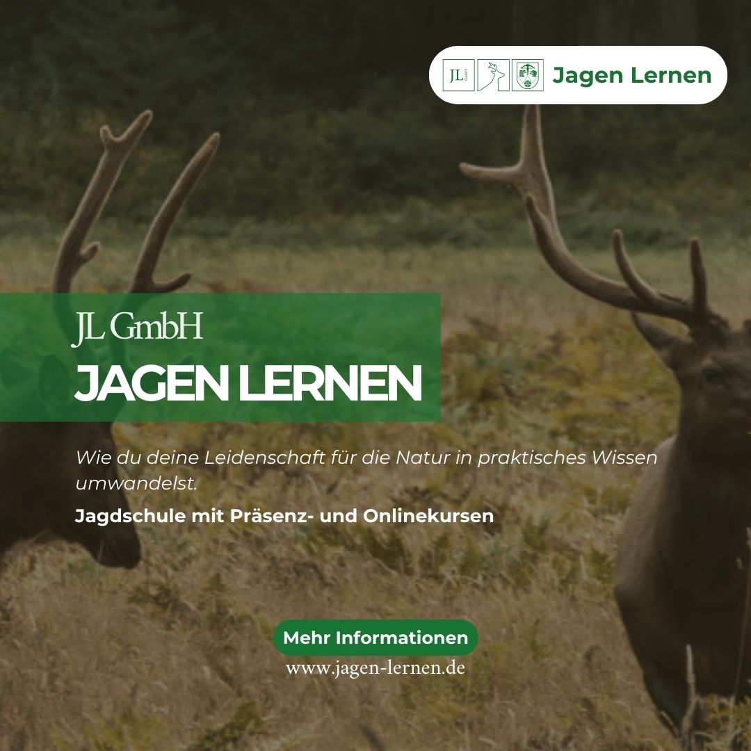 Jagen Lernen JL GmbH Facebook ad