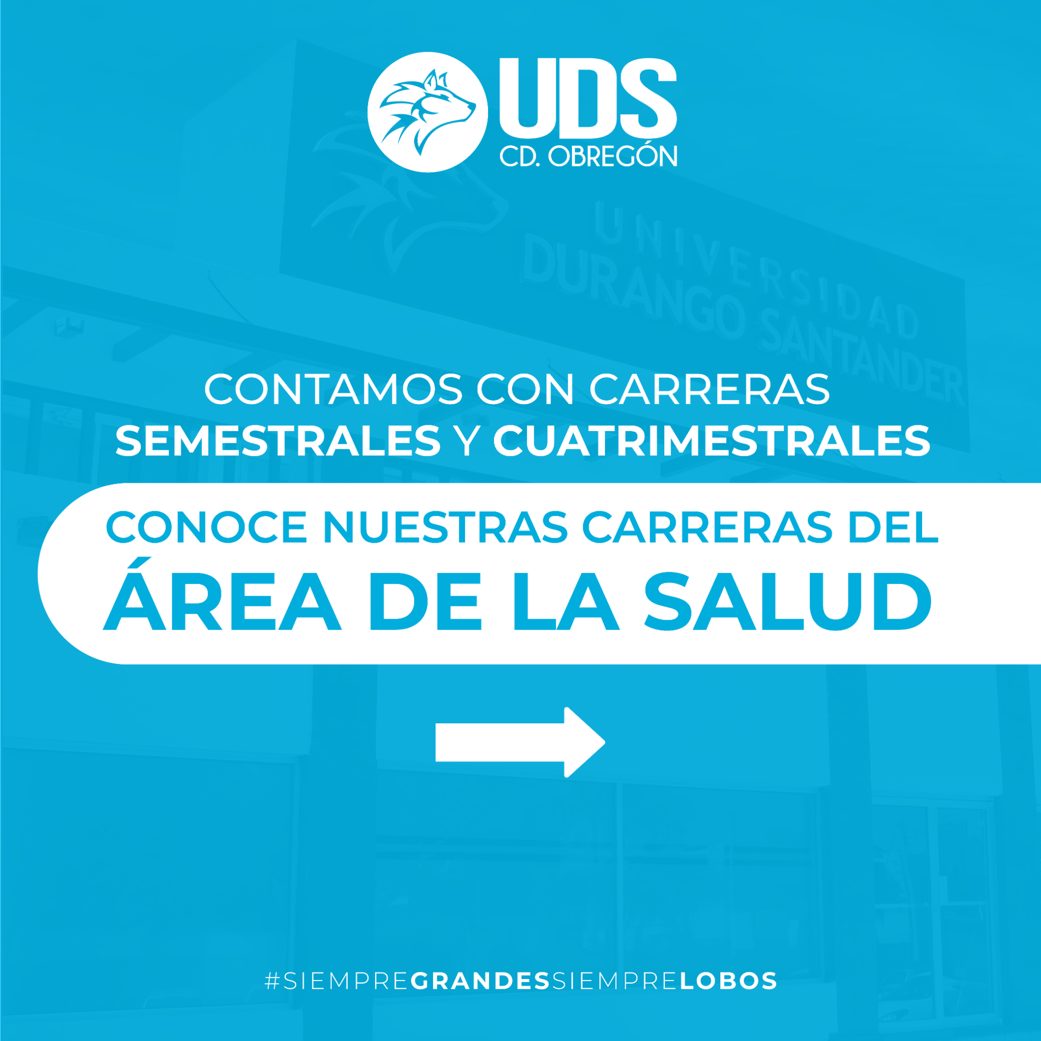 Universidad Durango Santander campus Obregón Facebook ad: Chatea con nosotros