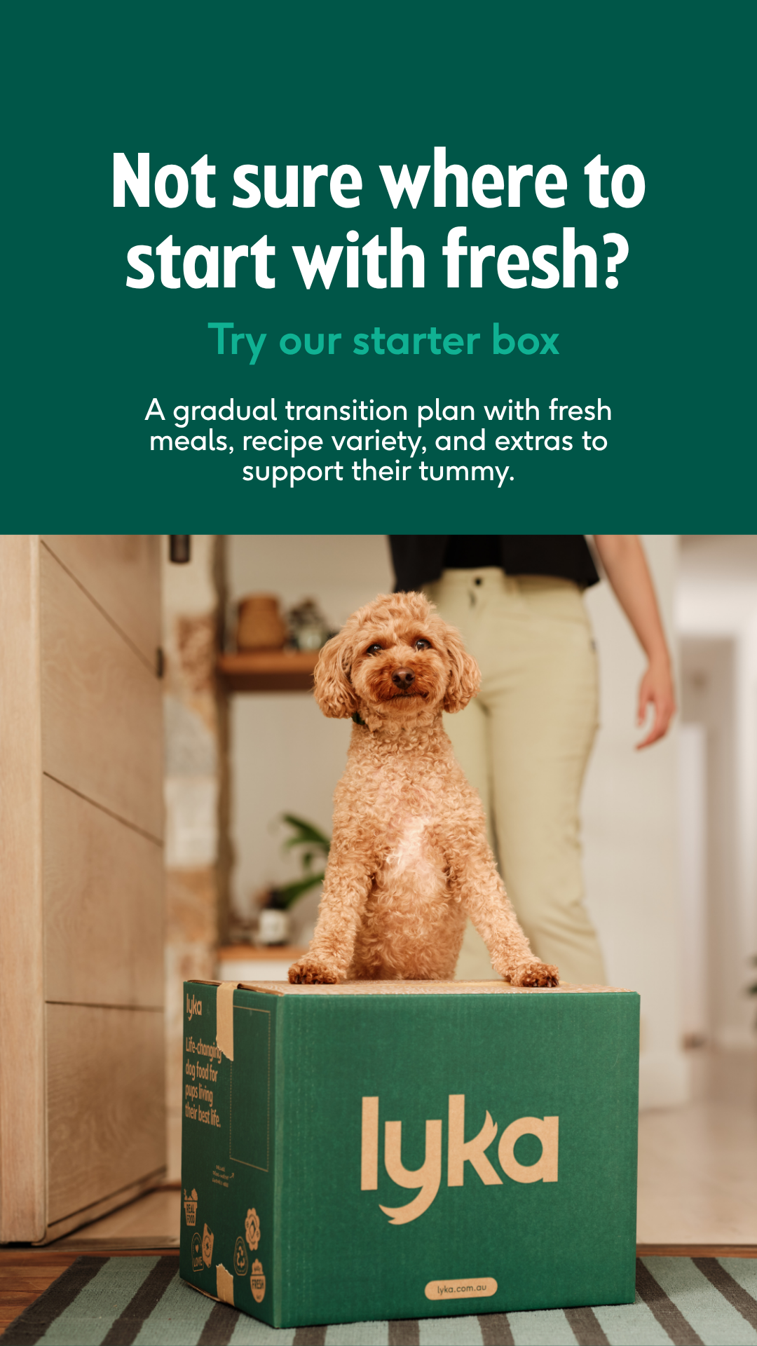 Lyka Pet Food Facebook ad