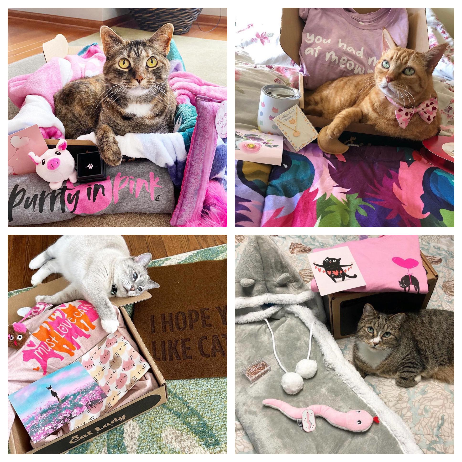 CatLadyBox Facebook ad: Cat Lady Box, Monthly Subscription Box for Cat Lovers &…