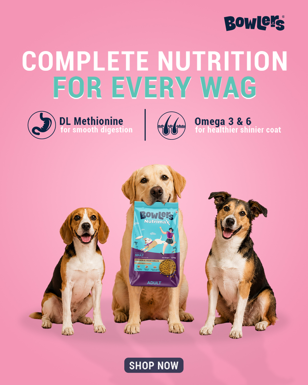 Bowlers Petfood Facebook ad
