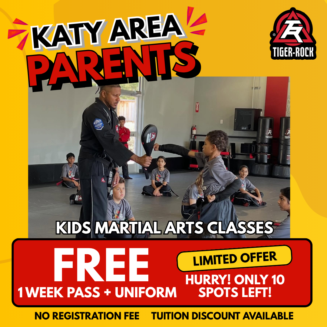 Tiger Rock Martial Arts of Katy South Facebook ad