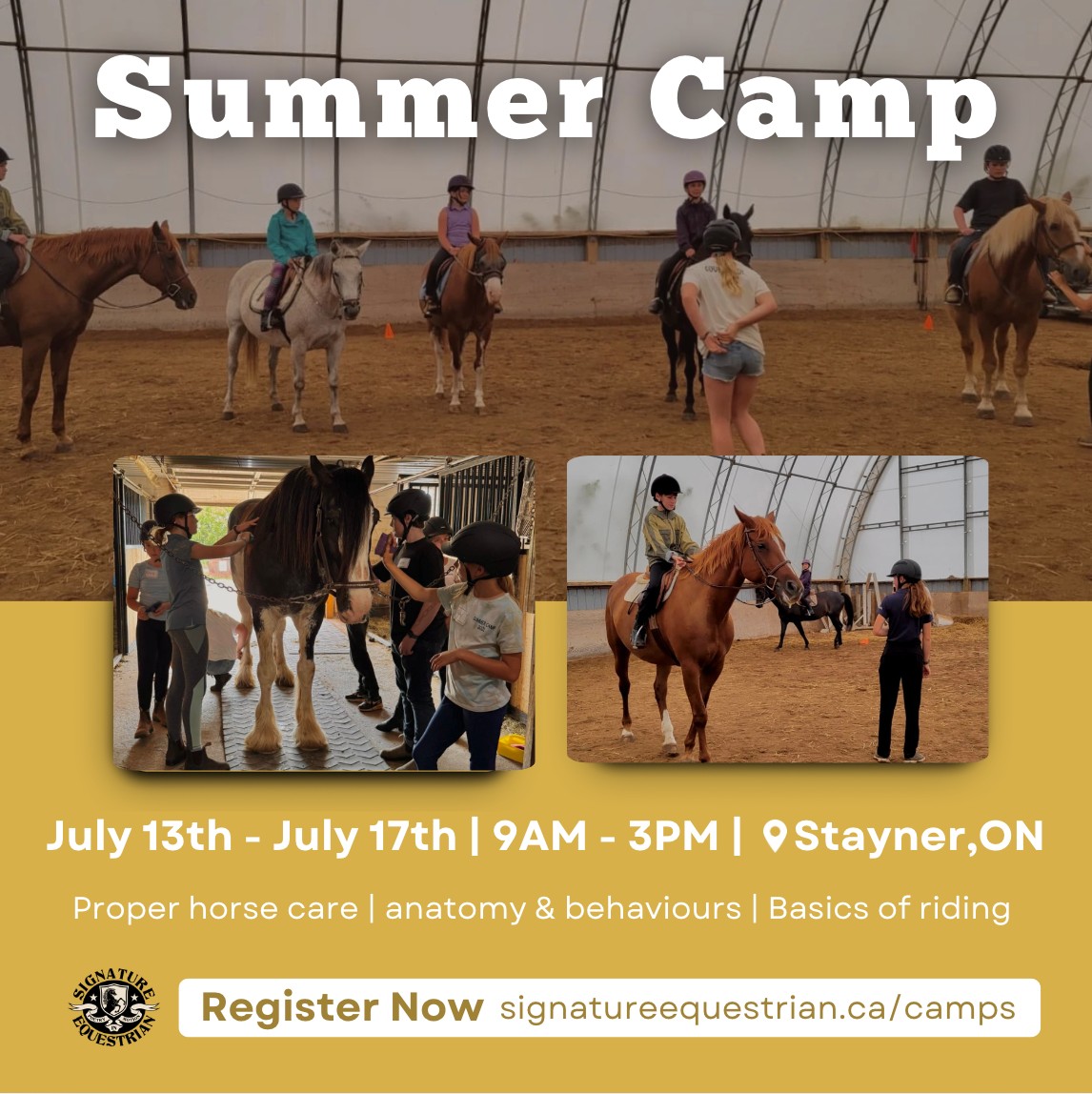 Signature Equestrian Facebook ad