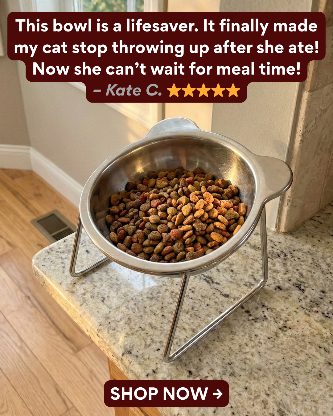 The Friendly Feline Facebook ad: Read this if you still use a standard cat bowl