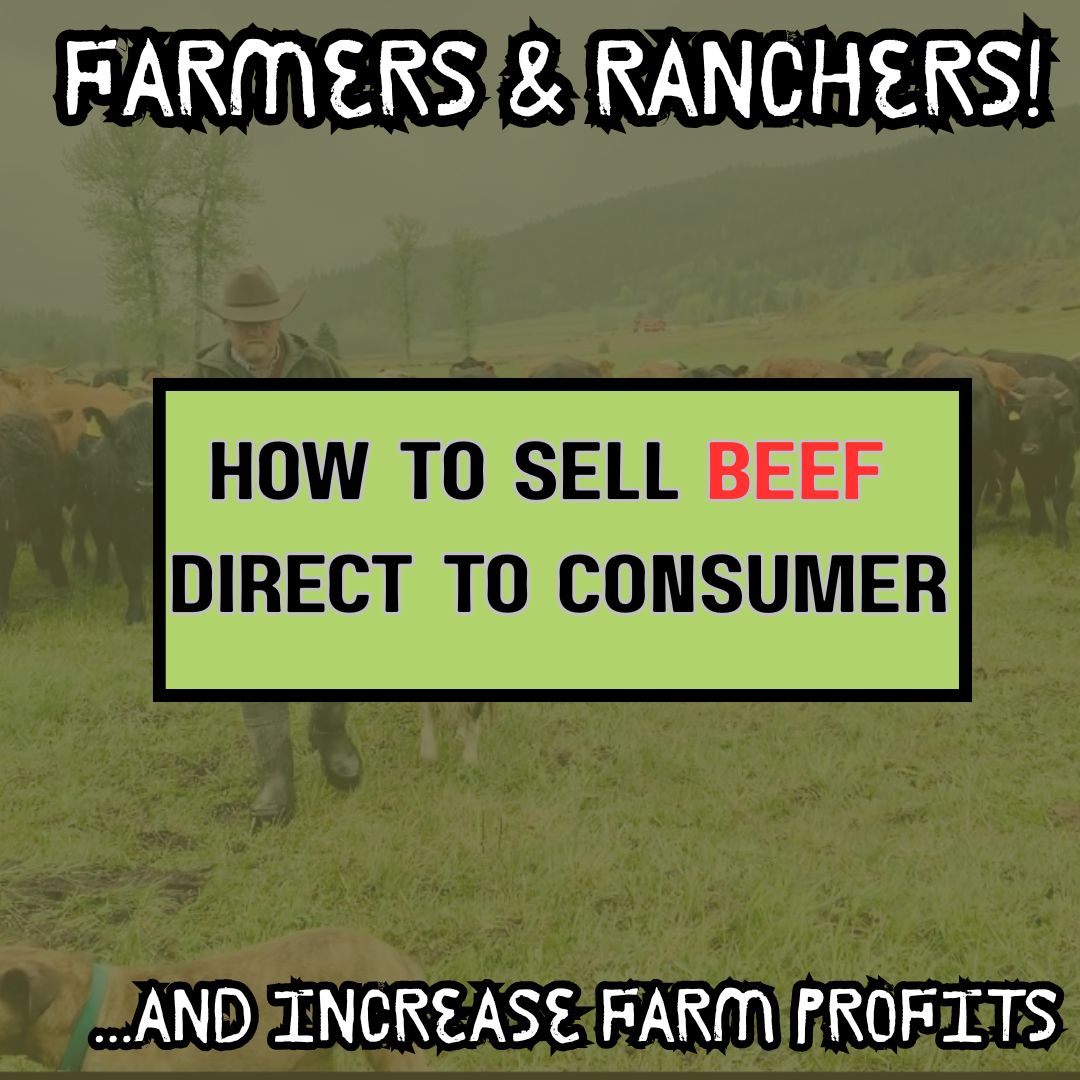 Sell Beef Direct Facebook ad