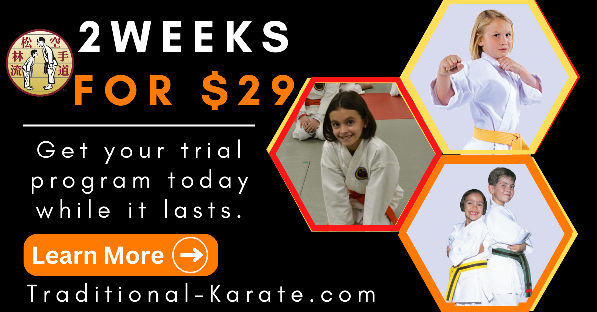Academy of Traditional Karate Facebook ad: Get started today