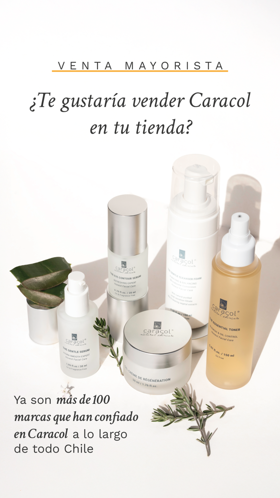 Caracol Natural Skincare Chile Facebook ad