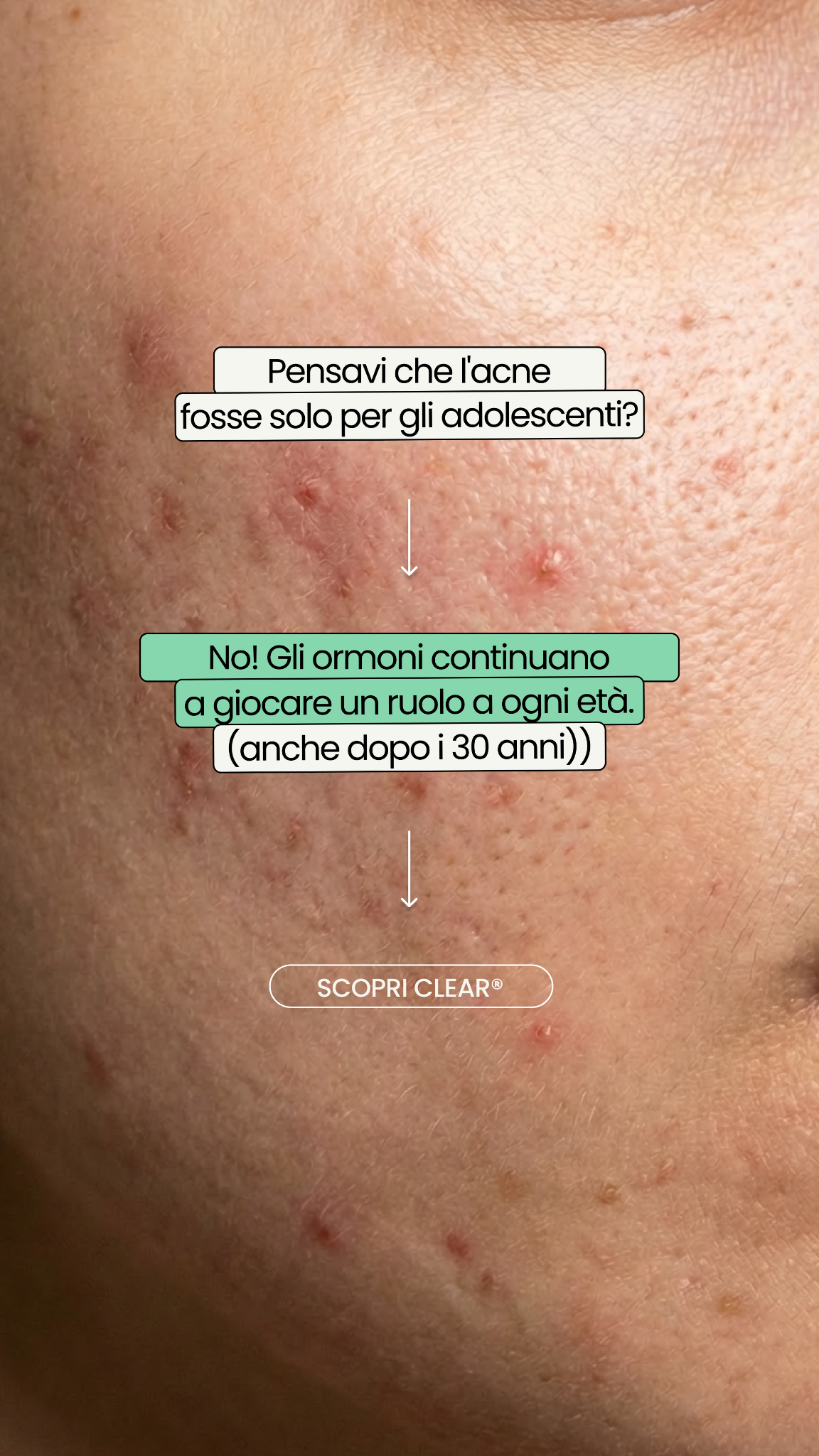 Circles Italia Facebook ad